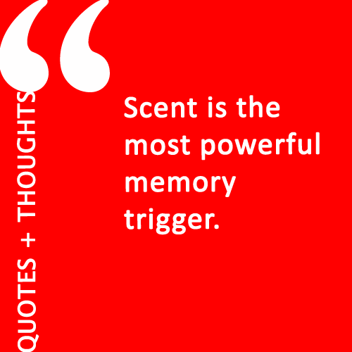 quotes on memory. Quotes + Thoughts | On memory