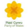 Logo_Plaid-Cymru_Party-of-Wales-Political-Party_www.partyof.wales_-force=1_dian-hasan-branding_UK-5