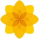 Logo_Plaid-Cymru_Party-of-Wales-Political-Party_www.partyof.wales_-force=1_dian-hasan-branding_UK-6